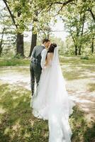 elegante joven novias, contento en su día, disfrutar cada otro. ellos son caminando en el primavera parque. foto desde el atrás. primavera boda. natural maquillaje