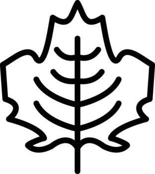 Maple Leaf Vector Icon
