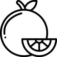 Orange Vector Icon