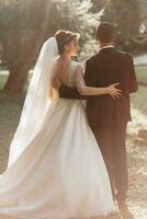 the bride and groom go through the forest hand in hand. Back view photo