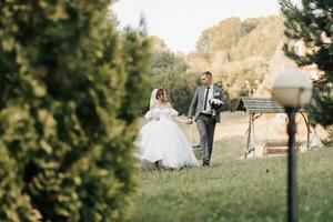 portrait of the bride and groom in nature. Stylish groom and brunette bride in a white voluminous dress, walking, holding hands and looking at each other against the background of the forest. photo