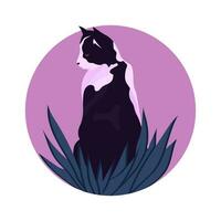 A fluffy black and white cat sits in the grass on a walk. Flat vector illustration