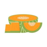 cantaloupe slice illustration vector