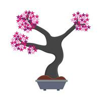 bonsai sakura flower in pot illustration vector