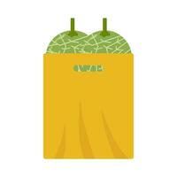 cantaloupe  in plastic bag illustration vector