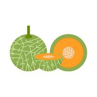 cantaloupe with cantaloupe slice illustration vector