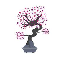 bonsai sakura flower in pot illustration vector