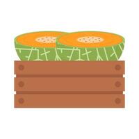cantaloupe slice in basket illustration vector