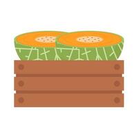 cantaloupe slice in basket illustration vector