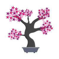 bonsai sakura flower in pot illustration vector