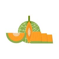 cantaloupe slice illustration vector