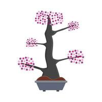 bonsai sakura flower in pot illustration vector