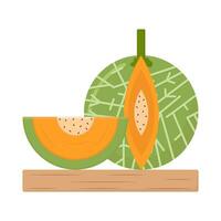 Cantalupo rebanada en ilustración de mesa vector