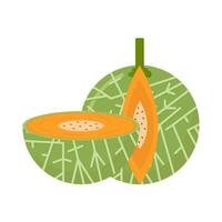 cantaloupe slice fruit illustration vector