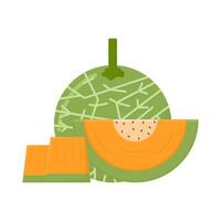 cantaloupe with cantaloupe slice illustration vector