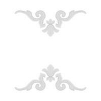 acanthus flower illustration vector