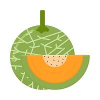cantaloupe with cantaloupe slice illustration vector