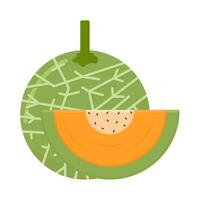 Cantalupo con Cantalupo rebanada ilustración vector