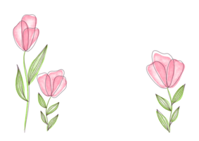 horizontal Hintergrund Attrappe, Lehrmodell, Simulation. Sanft zart Blumen im Pastell- Sommer, Frühling Farben. Banner mit Kopieren Raum zum Gruß Karte. Rosa Farbe botanisch Rahmen im Aquarell Stil auf transparent Hintergrund png