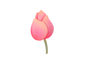 Watercolor cute pink tulip Flower, branch with leaves. elegant plant on transparent background. for Invitation, March 8th, Mother's Day greeting card. floral botanical clip art cut out illustration png