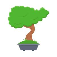 bonsai árbol en maceta ilustración vector