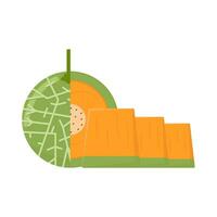 cantaloupe slice illustration vector