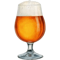 watercolor hand drawn realistic glass of beer png