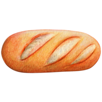 acquerello mano disegnato al forno cibo png