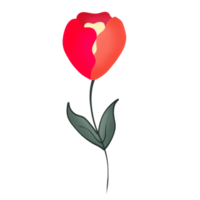 rote Rosenblume png