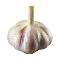 AI generated bunch of Garlic, Isolated transparent background png