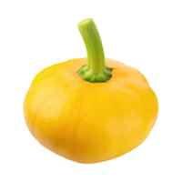 AI generated Floating Yellow Squash With A Green End, Without Shadow png