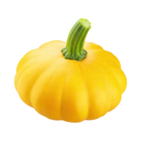 AI generated Floating Yellow Squash With A Green End, Without Shadow png