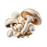 AI generated Floating Bunch Of Mushroom With A Brown Cap png