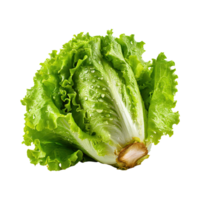 AI generated A Fresh And Crunchy Lettuce With Water Drops png