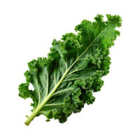 AI generated A Green Kale Leaf With Curly Edges ,Without Shadow png