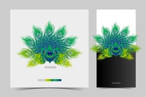 vector set of peacock feather design elements