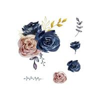 Watercolor set of bouquets dark roses, flowers vector