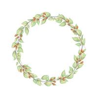 Vector round botanical frame isolated on a white background