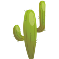 groen stekelig cactus png