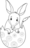 Easter bilby in egg outline drawing png