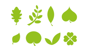 Set of various tree leaves png
