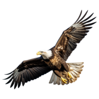 ai généré Aigle isolé sur transparent Contexte png