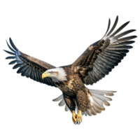 ai généré Aigle isolé sur transparent Contexte png