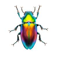 AI generated Rainbow stag beetle png isolated on transparent background