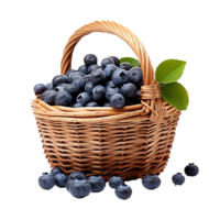 AI generated Blueberries in wicker basket png isolated on transparent background