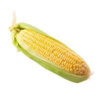 AI generated Fresh yellow corn isolated on transparent background png