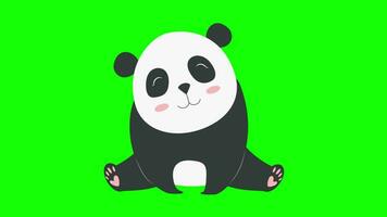 panda verde schermo vettore verde sfondo video