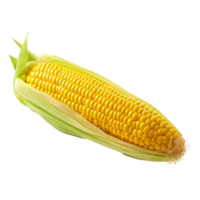 AI generated Fresh yellow corn isolated on transparent background png