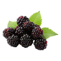 AI generated Blackberry isolated on transparent background png