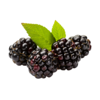 AI generated Blackberry isolated on transparent background png